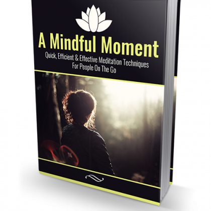Mindful Moment Law of Attraction