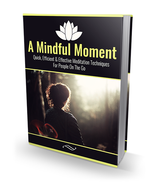Mindful Moment Law of Attraction
