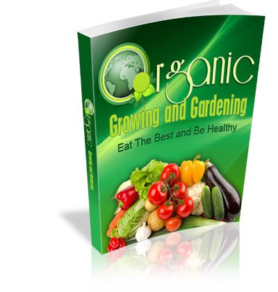 Growing Your Own Organic Foods