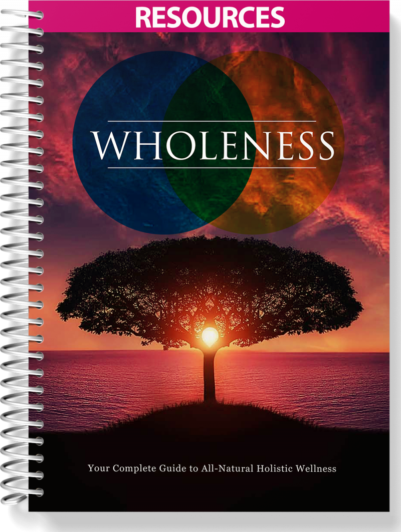 Wholeness Law of Attraction eCourse
